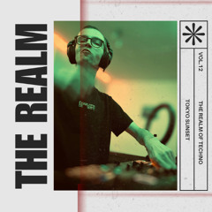 THE REALM 012 - TOKYO SUNSET