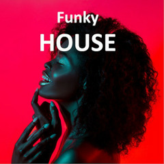 Funky House ✨ Funky Disco Mix 2024