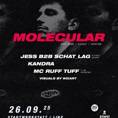 #P3.1 PostProduction Stwst/Linz