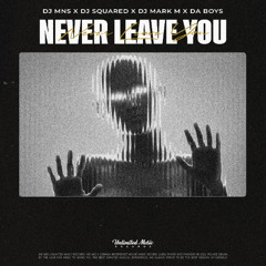 DJ MNS, DJ Squared, DJ Mark M & Da Boys - Never Leave You