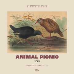 Animal Picnic @ Melodic Therapy #105 - Spain