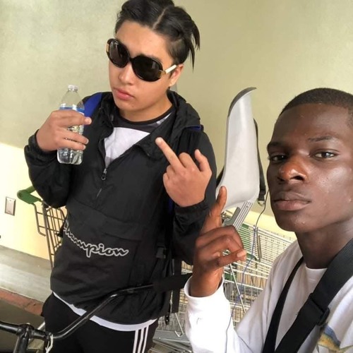 More Life (Zipperhead x K9)
