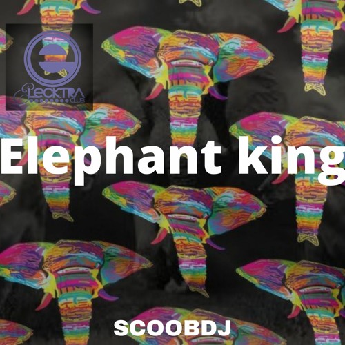 SCOOB DJ - Elephant King (Rilds.com) (1)