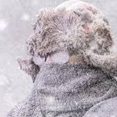 It's Cold (disquiet0673)