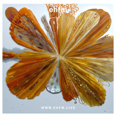 Arne's Yellow Bucket - 04.03.25