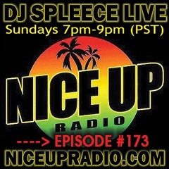 #173: REALITY SOUND (DJ Spleece) 08-18-2024