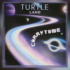 Turtle Land