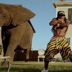 Lil Wayne - Peanuts 2 An Elephant (Remix)