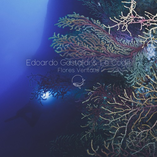 Edoardo Gastaldi & Le Code - Flores Veritatis