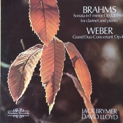 Brahms Sonate 1 -Brymer-