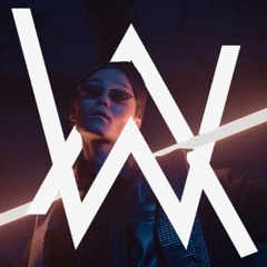 Alan Walker & Sorana - Catch Me If You Can (PROGRAMMER X REMIX)