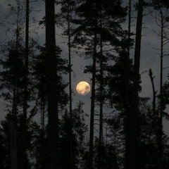 Twilight