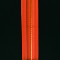 Love Is A Losing Game