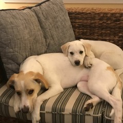 Take Your Pain Away   by Kate and Adam