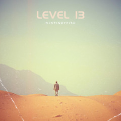 Level 13 - djstinkyfish (free download)