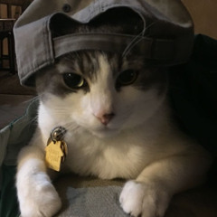 VinabataHouse 🎧 Nhạc nghe đi ngủ