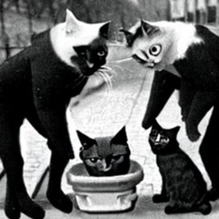 MUSIC FOR CATS 2- I SMASH YOUR COFFEE CUP