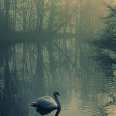 Solace in Solitude