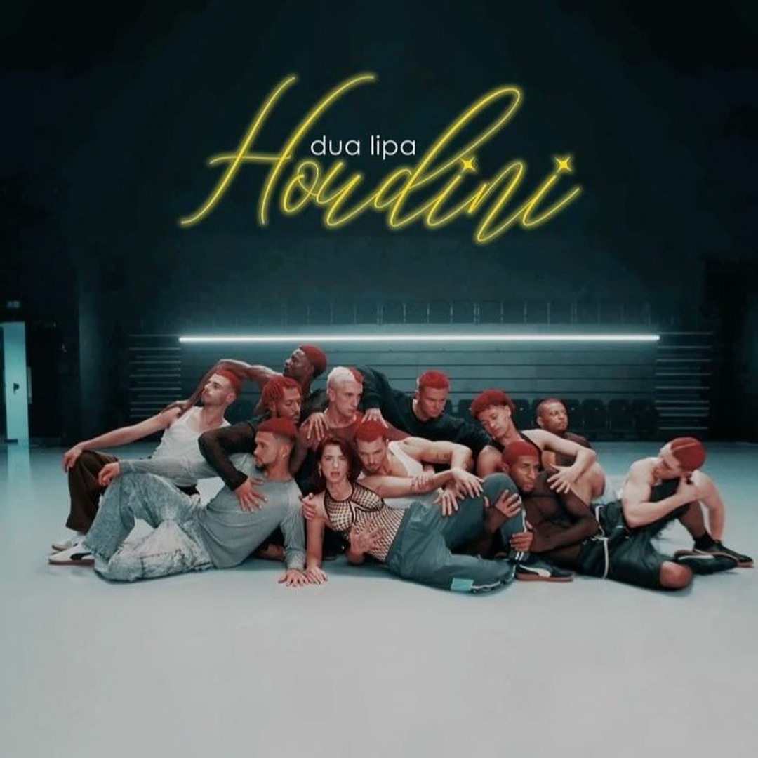 Dua Lipa Houdini Hoodie | TikTok
