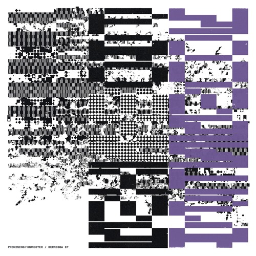 [AF052] PROMISING/YOUNGSTER 'BERNESGA EP [2023]