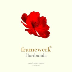Framewerk - Floribunda (4X4 Mix)