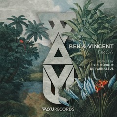 Premiere: Ben & Vincent - Moviola [WAYU Records]