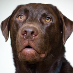 the longest amount of time ive ever spent on the piano roll in fl ft scotty 2 hotty from the wwe