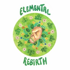 Elemental Rebirth & Mitochondrial DNA