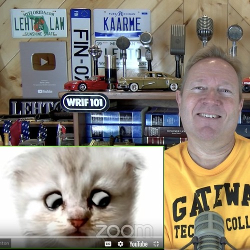 Lawyer On Zoom I Am Not A Cat Ep 7 294 By Lehto S Law