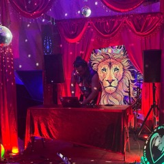 Lions @ Firefly 2024