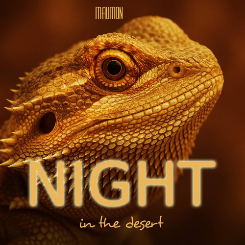 Night In The Desert