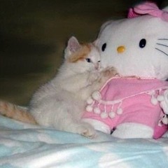 😻