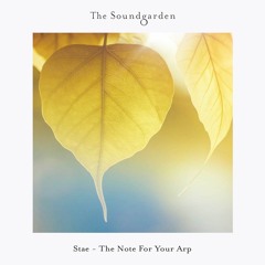 Stae - The Note For Your Arp (Original Mix)