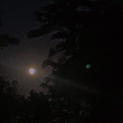 Where It Still Hurts….