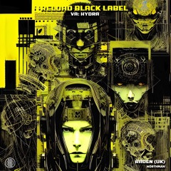 Raden (UK.) - Northman (Original Mix) 160Kbps