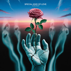 Special Kind of Love