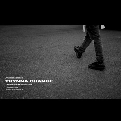 AudiDaKing - Trynna Change
