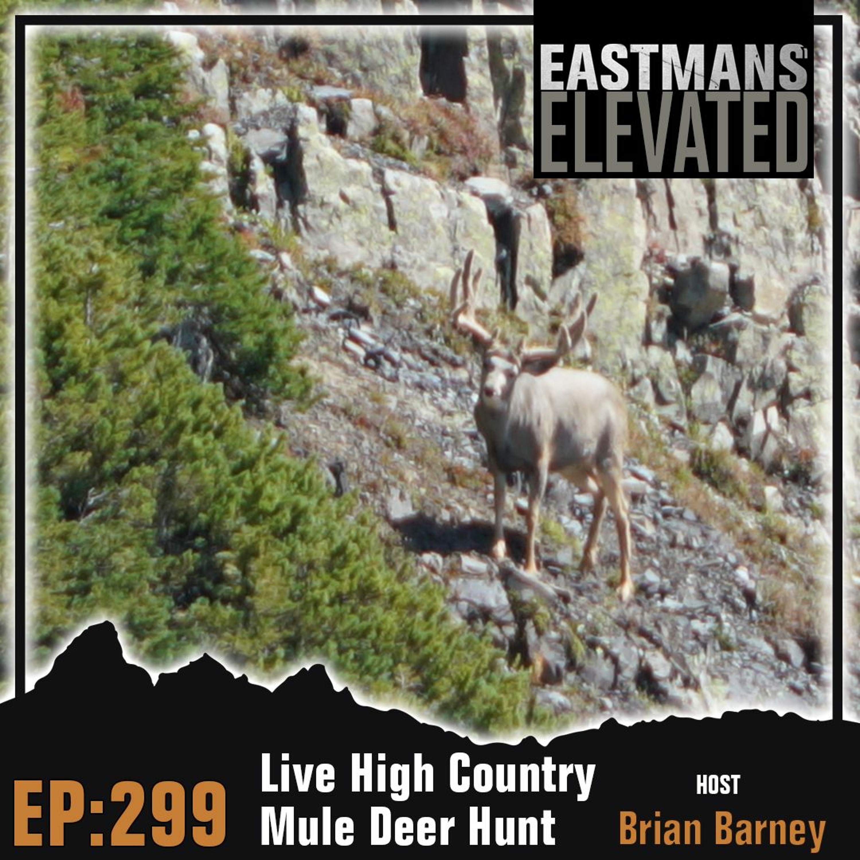 Episode 299: Live High Country Mule Deer Hunt