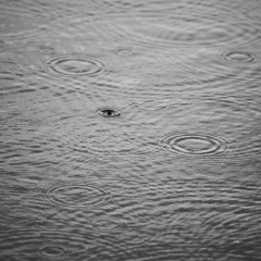 Moderate Drizzle