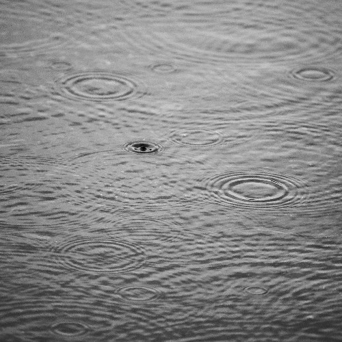 Moderate Drizzle