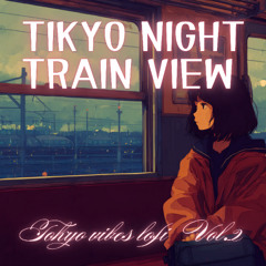 Tokyo Night Train view