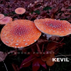 Flatwoods Podcast 004 // Kevil