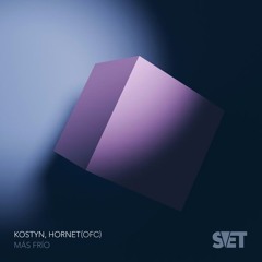 Kostyn & HORNET - Más Frío
