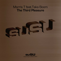 The Third Pleasure (Starchaser Mix) [feat. Taka Boom]