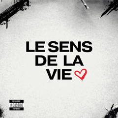 VERNEX - LE SENS DE LA VIE