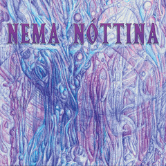 LULiO & Mallku - Chasquilleros