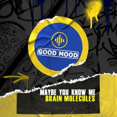 Maybe You Know Me - Brain Molecules (Original Mix)