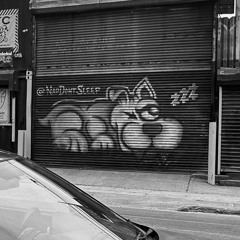 finna wiki that deep sea fauna