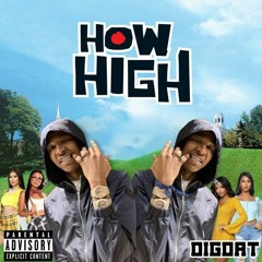 DigDat - How High (SLOWED)