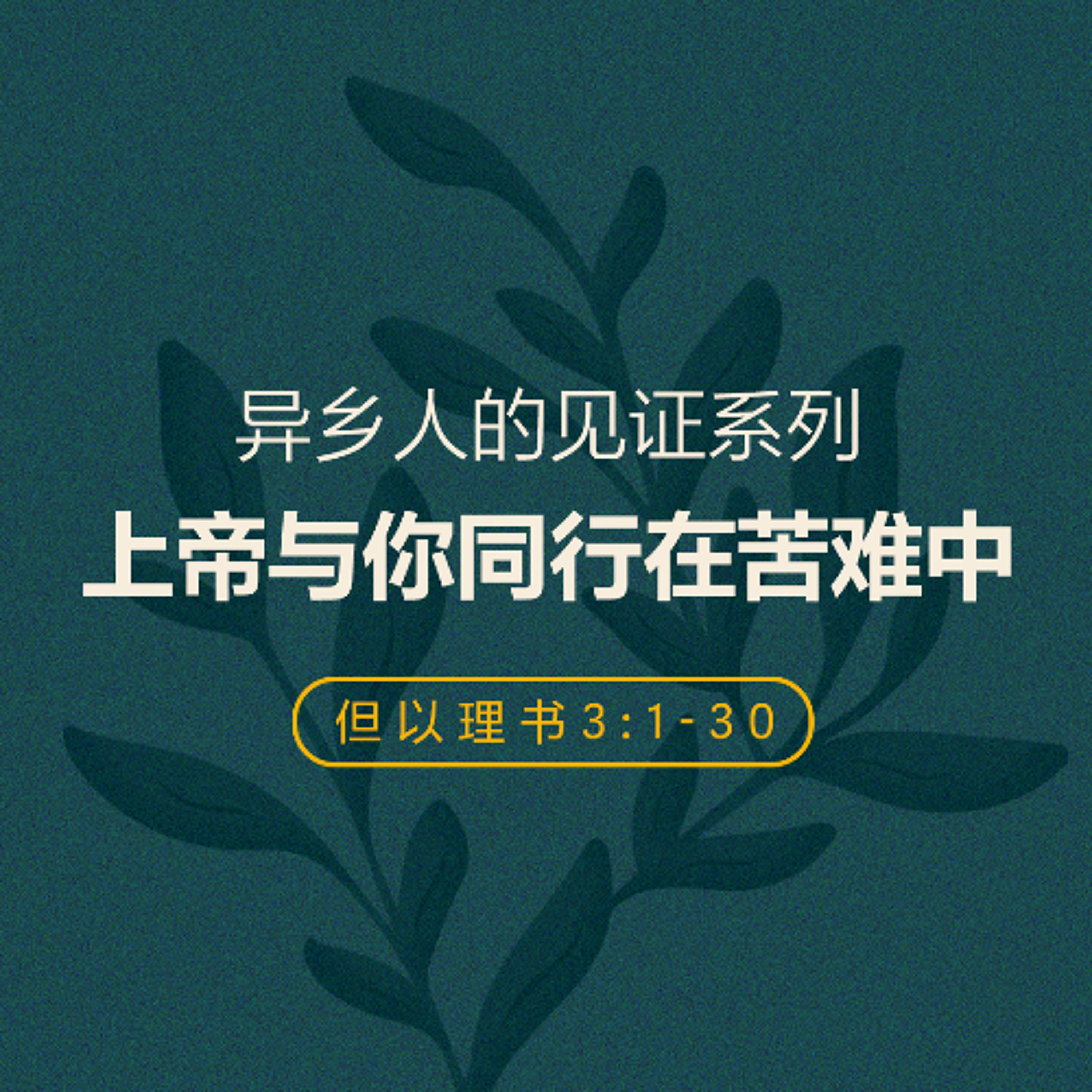 06/08/2025 【异乡人的见证】上帝与你同行在苦难中 –（但 3:1-30） —— John 李牧师